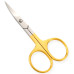 Manicure Scissors