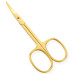 Manicure Scissors