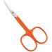 Manicure Scissors