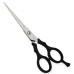 Plastic Handle Scissors