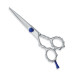 Professional hair Cutting Scissors