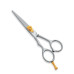 Professional hair Cutting Scissors