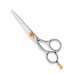 Professional hair Cutting Scissors