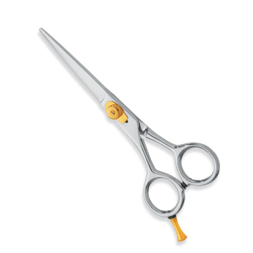 Professional hair Cutting Scissors