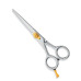 Professional hair Cutting Scissors