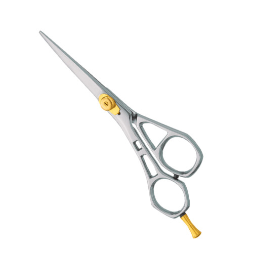 Professional hair Cutting Scissors