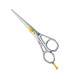 Professional hair Cutting Scissors