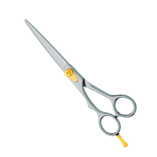 Professional hair Cutting Scissors