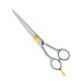 Professional hair Cutting Scissors