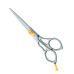 Professional hair Cutting Scissors