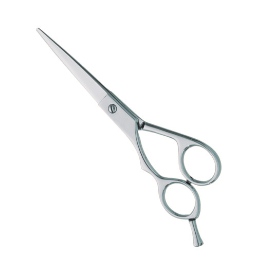 Professional hair Cutting Scissors