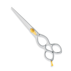 Professional hair Cutting Scissors