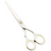 Razor Edge Hair Dressing Scissors