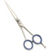 Razor Edge Hair Dressing Scissors