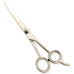 Razor Edge Hair Dressing Scissors