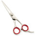 Razor Edge Hair Dressing Scissors