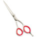 Razor Edge Hair Dressing Scissors