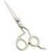 Razor Edge Hair Dressing Scissors