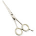 Razor Edge Hair Dressing Scissors