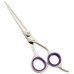 Razor Edge Hair Dressing Scissors