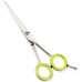 Razor Edge Hair Dressing Scissors