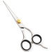 Razor Edge Hair Dressing Scissors