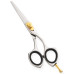 Razor Edge Hair Dressing Scissors