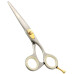 Razor Edge Hair Dressing Scissors