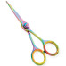 Razor Edge Hair Dressing Scissors