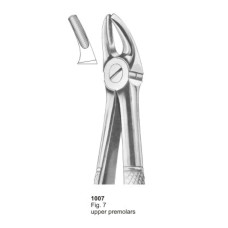 Extracting Forceps