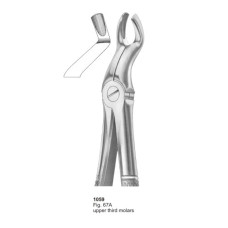 Extracting Forceps