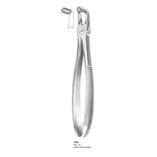 Extracting Forceps