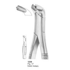 Extracting Forceps