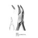 Orthodontic Pliers & Cutters, Rongeurs