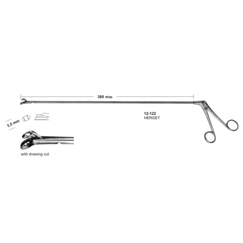 Biopsy forceps for rectum