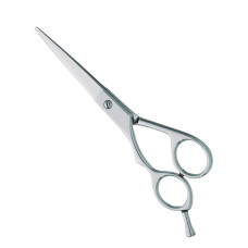 Professional hair Cutting Scissors