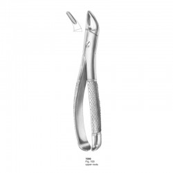 Extracting Forceps